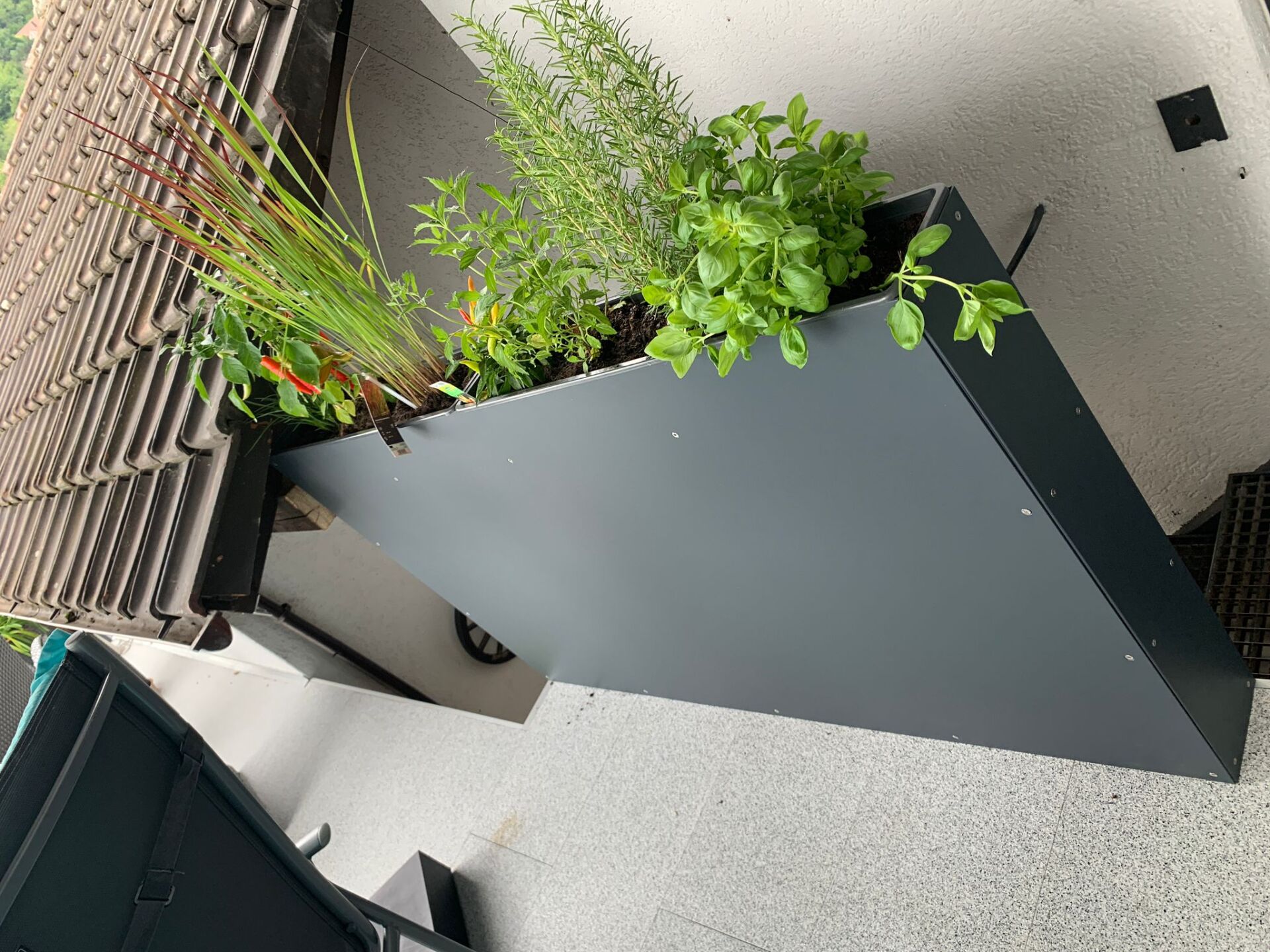 Hochbeet aus anthrazitfarbenem Stahlblech auf einer Terrasse